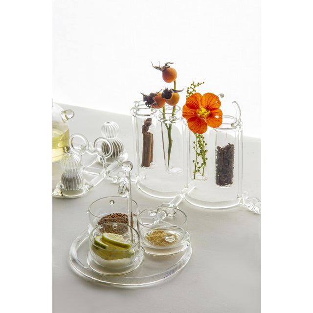 Vases in Borosilicate Glass by StudioNotte For Sale - Image 7 of 8