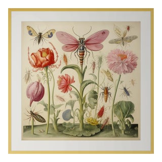 18" X 18" Framed 'Insects and Flowers' Botanical Print For Sale