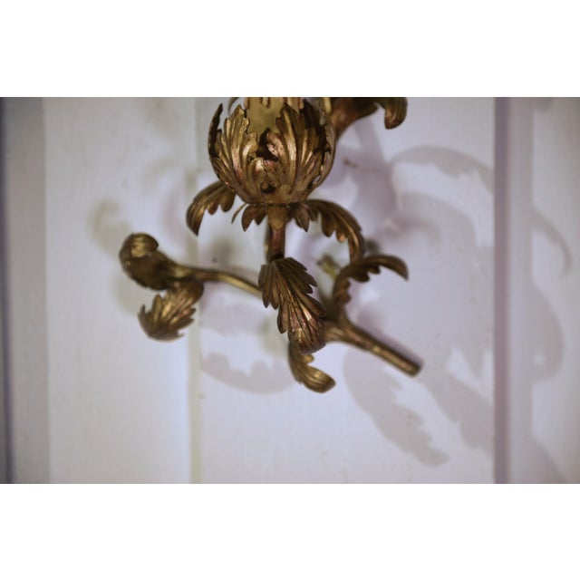 1960s Vintage Floral Wall Sconces in Gilt Steel, 1960s, Set of 2 For Sale - Image 5 of 8
