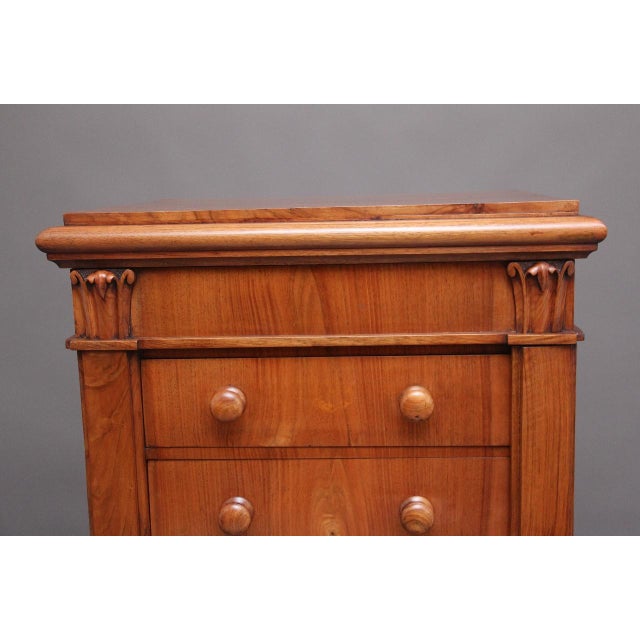Brown Regency Walnut Wellington Chest, 1830s For Sale - Image 8 of 15