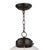 Transitional Regina Andrew Globe Pendant in Oil Rubbed Bronze and Natural Brass For Sale - Image 3 of 5