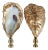 Surf Gilded Oyster Shell Lamp Finials For Sale