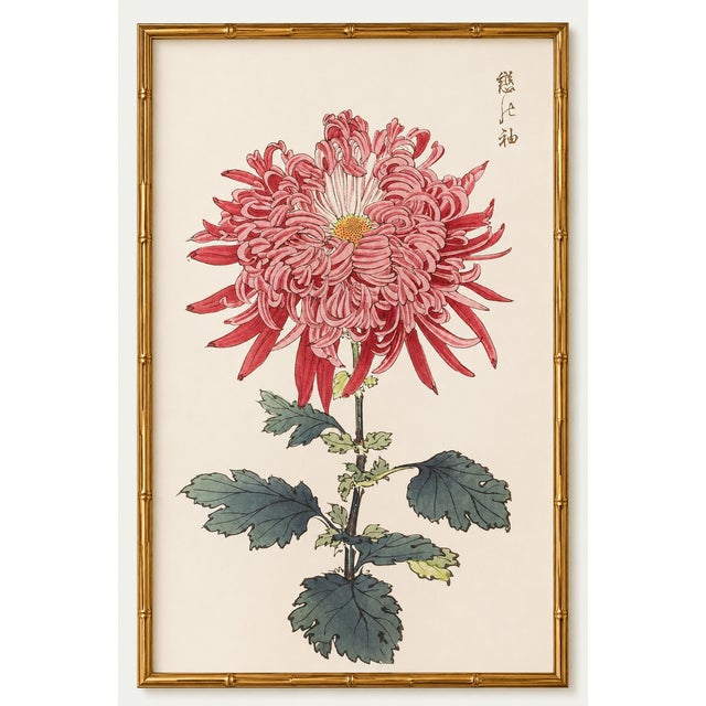 Ruby Petals Diptych – Vintage Japanese Botanical Prints (Set of 2), 40" X 60" For Sale - Image 4 of 9