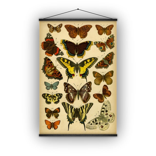 Burnt Umber Reproduction of Antique 'Butterfly' Wall Hanging For Sale - Image 8 of 8