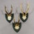 Set of Six Roe Deer Trophies on Wooden Plaques Salem Germany Ca. 1900s For Sale - Image 4 of 9