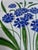 Late 20th Century Italian Glazed White Pottery Platter With Blue Cornflowers For Sale - Image 14 of 18