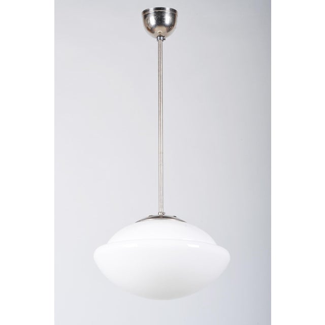 Art Deco Chandelier Type 4121 in Chrome and Glass by Napako, Czech, 1930s For Sale - Image 9 of 9