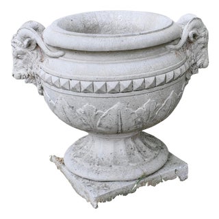 Vintage Rams Head Planter in Stone, 1930 For Sale