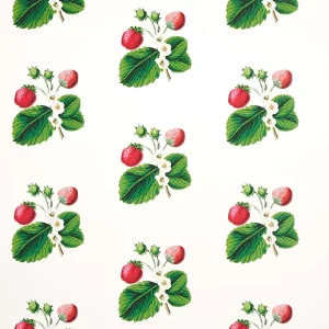 Sample - Schumacher x Johnson Hartig Strawberry Hill Wallpaper in White
