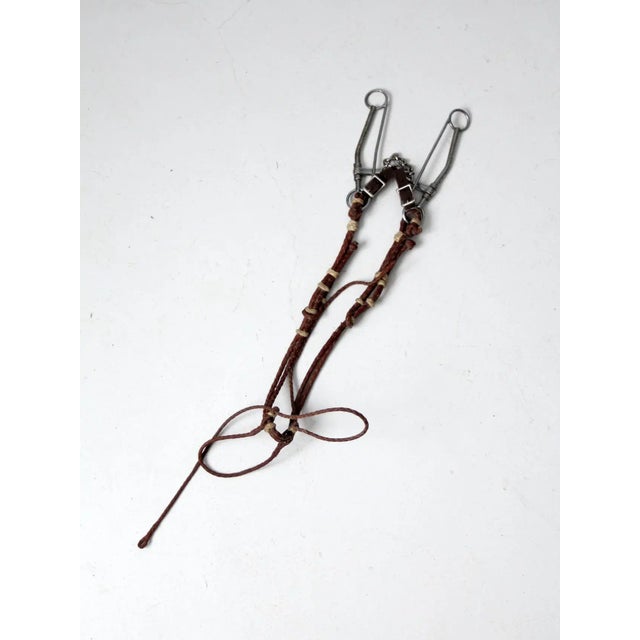 Vintage Horse Bridle For Sale - Image 4 of 12