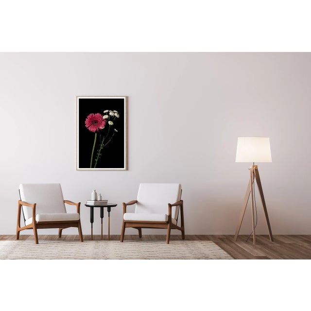 This is an exclusive limited edition color Giclée print, printed on matte photographic paper. This exquisite still life...
