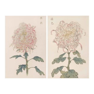 Whispering Petals Diptych – Vintage Japanese Botanical Prints (Set of 2), 40" X 60" For Sale