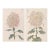 Whispering Petals Diptych – Vintage Japanese Botanical Prints (Set of 2), 40" X 60" For Sale