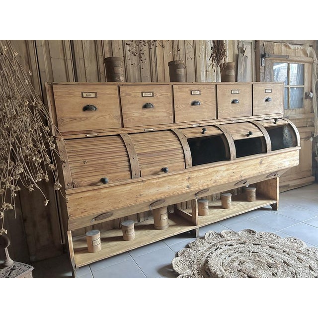 Vintage Fir Seed Cabinet For Sale - Image 4 of 11