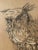 Midcentury Owl Lithograph by Z. Charlotte Sherman For Sale - Image 4 of 8
