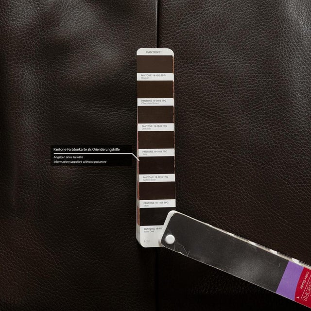 Animal Skin JR-8100 2-Seater Sofa in Dark Brown Leather from Jori For Sale - Image 7 of 11