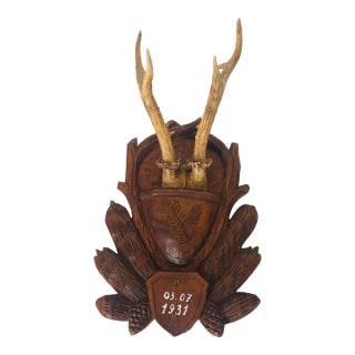 Antique Black Forest Deer Antlers Trophy Mounted Handcarved Board For Sale
