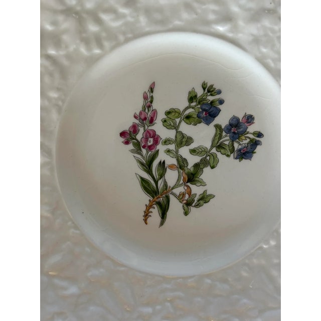 1940s Royal Cauldron Bristol Ironstone “Cardinal Flower” 9.5” Appetizer Plates ~ Set of 8 ~ England For Sale - Image 11 of 13