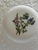 1940s Royal Cauldron Bristol Ironstone “Cardinal Flower” 9.5” Appetizer Plates ~ Set of 8 ~ England For Sale - Image 11 of 13