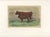 After Rosa Bonheur, Salers Cow and Calf, 1873, Paper For Sale - Image 3 of 12