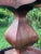 Antique Wooden Table . Antique Wooden Furniture. For Sale - Image 4 of 12