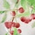 Barbotine Fruit Plates from KG St Clément, Late 19th Century, Set of 4 For Sale - Image 5 of 18