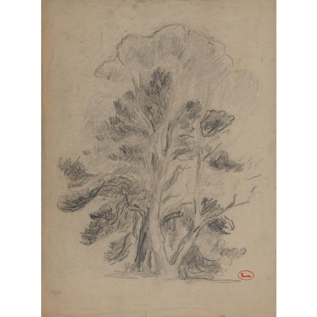 Maximilien Luce, Trees on the Edge of the Forest, Original Drawing For Sale - Image 6 of 6