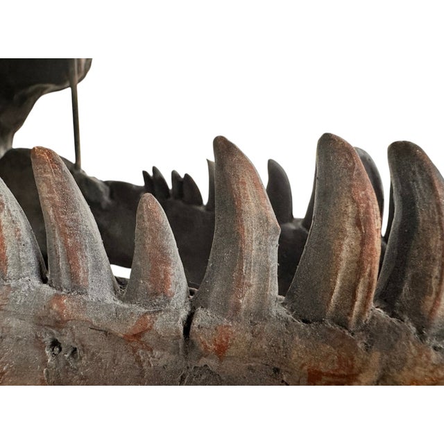 Late 20th Century Tyrannosaurus Rex Skull Sculpture For Sale - Image 11 of 13