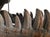 Late 20th Century Tyrannosaurus Rex Skull Sculpture For Sale - Image 11 of 13