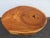 Rustic Natural Live Edge Wood Tree Slice Side Small End Coffee Table 6890 For Sale - Image 9 of 17