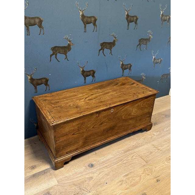 18th Century Elm Trunk For Sale - Image 9 of 9