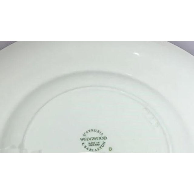English Wedgwood China Wellesley Pattern Dinner Plate 10 3/4" For Sale - Image 3 of 3