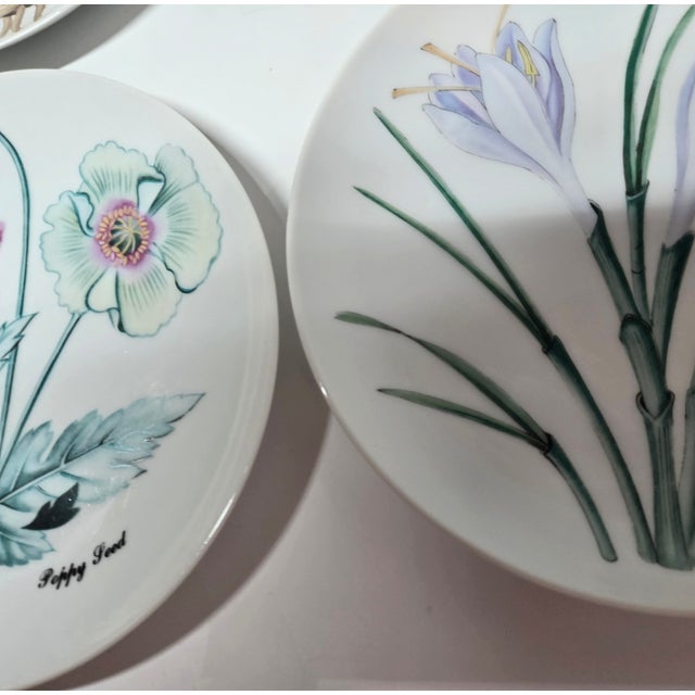Asian Botanical Plates- Set of Four For Sale - Image 4 of 12