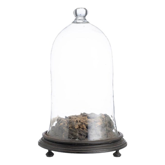 Glass Dome, 19th Century For Sale