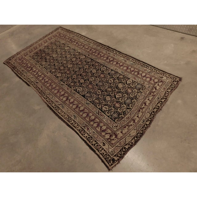 Antique Caucasian rug in paisley design. Wool pile on Wool Foundation. Circa 1900