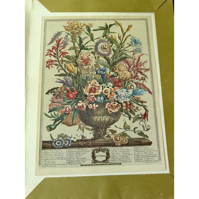 This is a vintage reprinted copy of Robert Furber’s Twelve Months of Flowers first published in 1730. It is a complete set...