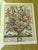 This is a vintage reprinted copy of Robert Furber’s Twelve Months of Flowers first published in 1730. It is a complete set...