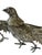 20th Century Italian Silver Plate Game Bird Figurals - A Pair For Sale - Image 13 of 13