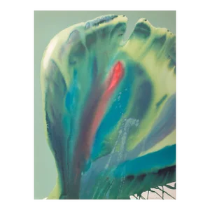 Flower Coasas II, Lamar Briggs Lithograph