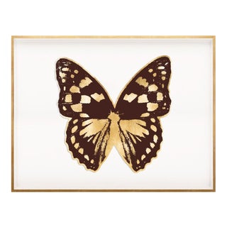 Butterfly Royale, Brown 1 Framed Artwork For Sale