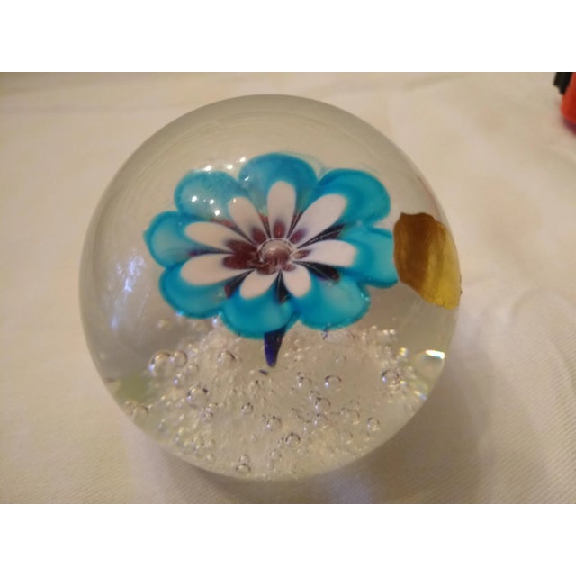 Acquired while resident in Asmara in the 1960s.