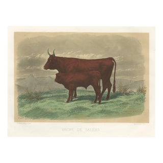 After Rosa Bonheur, Salers Cow and Calf, 1873, Paper For Sale