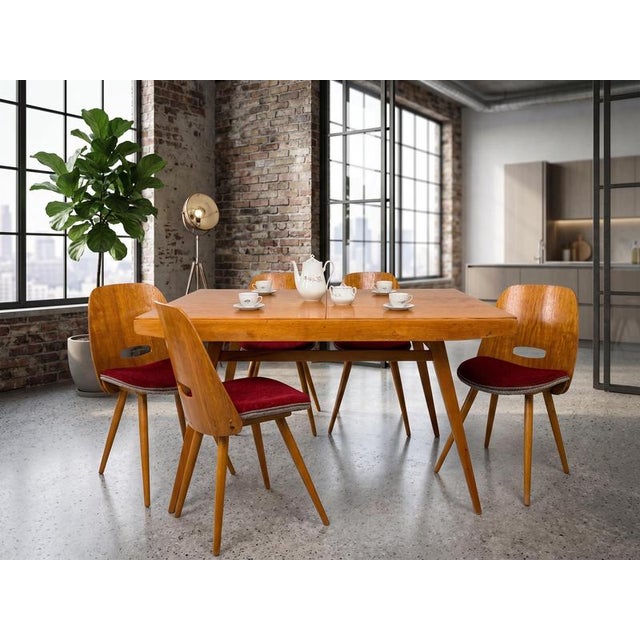 An iconic set of 4 Mid-Century Modern dining chairs (popularly known as the "Lollipop" or "Lízatko" chairs, model 22-19),...