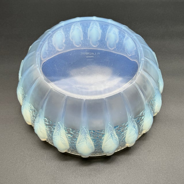Glass Parakeet Cup by René Lalique for Lalique, 1931 For Sale - Image 7 of 11