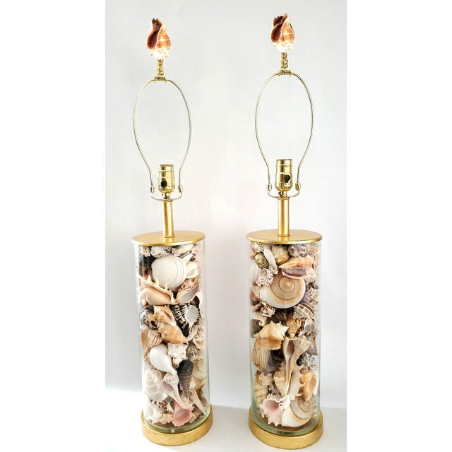 Lamp Pair Seashells Shells Restored Extra Large Size For Sale In Miami - Image 6 of 10