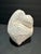 Abstract 1960s Larry Mohr Plaster Abstract Embrace Sculpture Signed From Artist Estate For Sale - Image 3 of 7