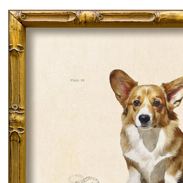 Various Artists Reproduction Art Print of Vintage "World of Dogs" Illustration (Corgi), Framed For Sale - Image 4 of 4