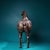 Bronze Heavy Vintage Chinese Gilt Bronze Tang Style Horse Sculpture For Sale - Image 8 of 9