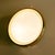 Gold Vintage Brass and Glass Sconce from Limburg For Sale - Image 8 of 18