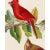 Introducing the Duchess Edition: a refined collection of Audubon Bird Giclée reproductions that elevate the timeless...
